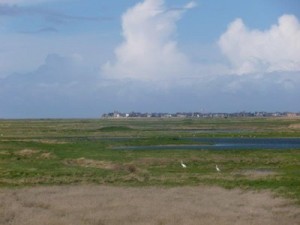 Vakantie is ook: de natuur in